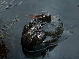 oilSpill